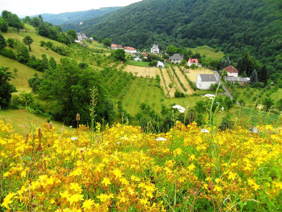 Kraljska Koliba - Kralje'S Cottage Andrijevica Buitenkant foto