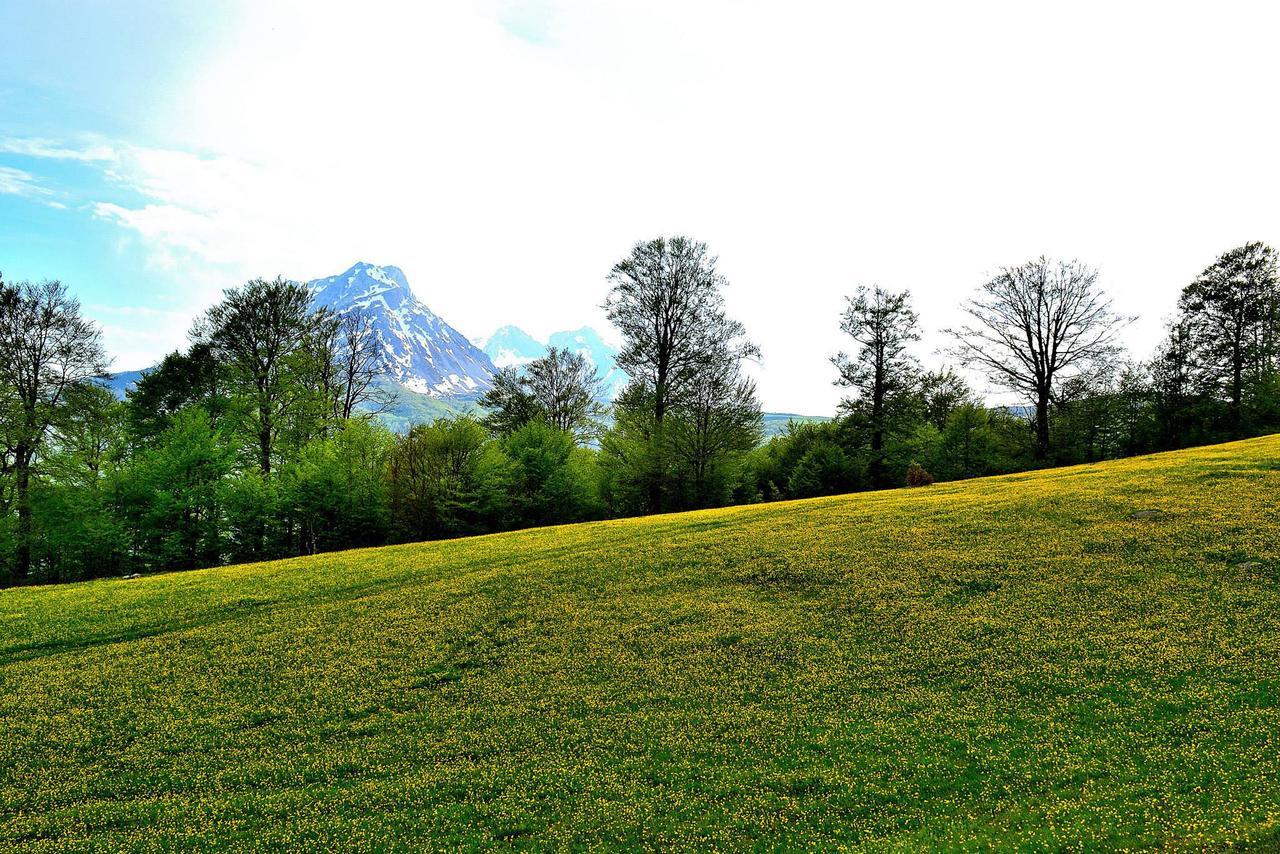 Kraljska Koliba - Kralje'S Cottage Andrijevica Buitenkant foto
