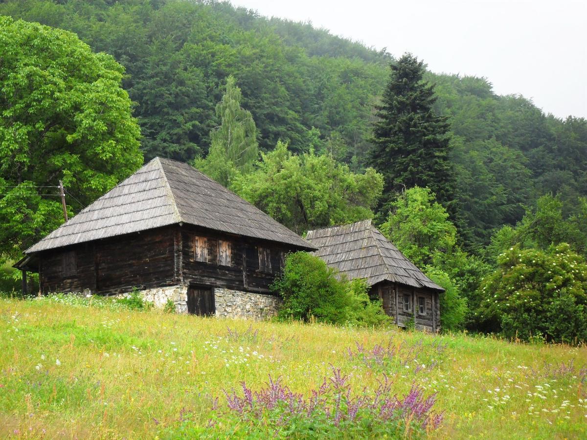 Kraljska Koliba - Kralje'S Cottage Andrijevica Buitenkant foto