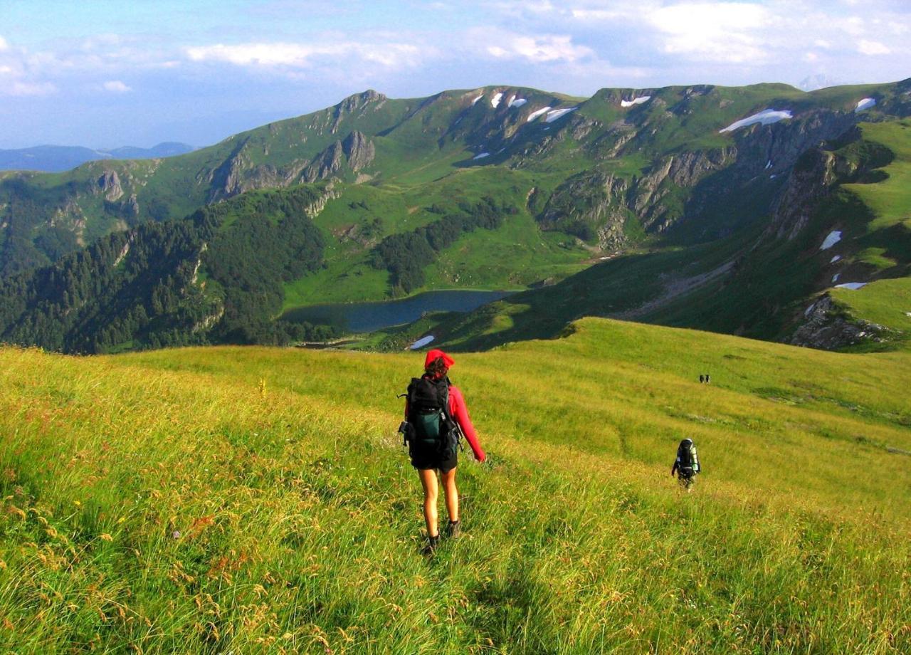Kraljska Koliba - Kralje'S Cottage Andrijevica Buitenkant foto