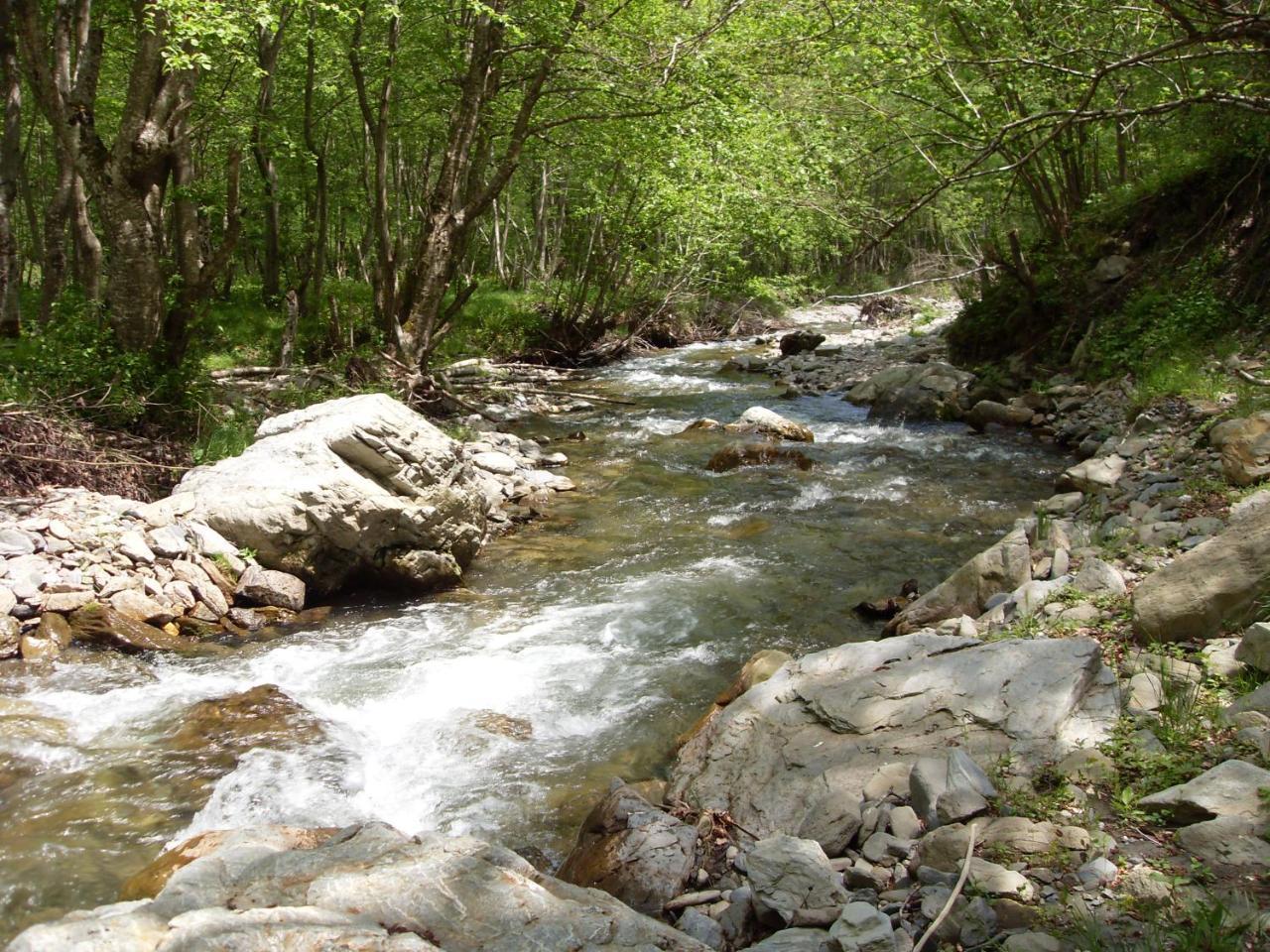 Kraljska Koliba - Kralje'S Cottage Andrijevica Buitenkant foto
